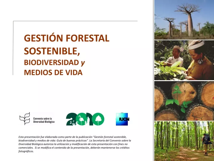 gesti n forestal sostenible biodiversidad