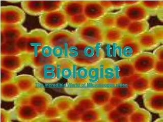 Tools of the Biologist The Incredible World of Microscopes video