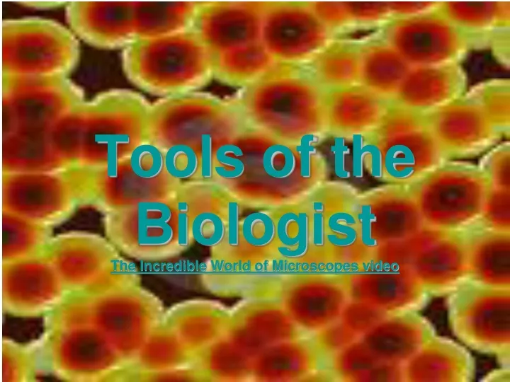 tools of the biologist the incredible world of microscopes video
