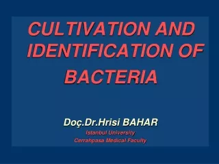 CULTIVATION AND IDENTIFICATION OF BACTERIA Doç.Dr.Hrisi BAHAR Istanbul University