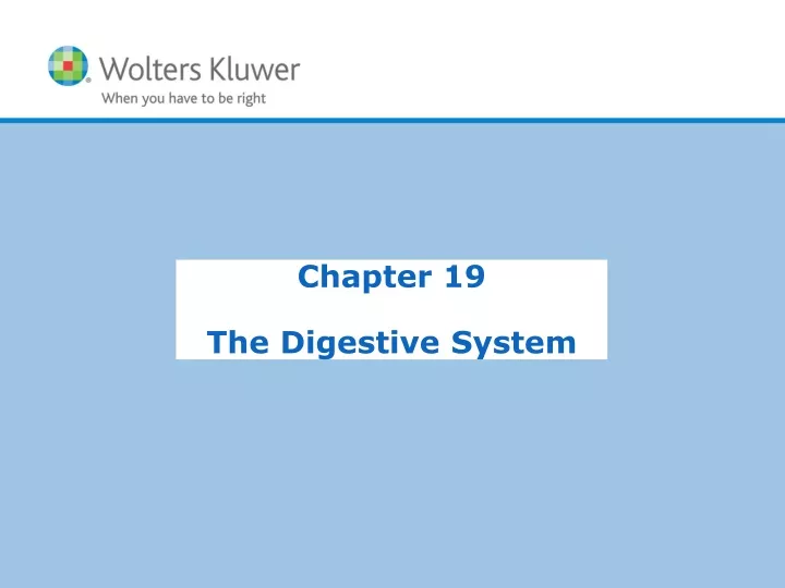 chapter 19 the digestive system