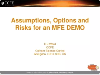 Assumptions, Options and Risks for an MFE DEMO