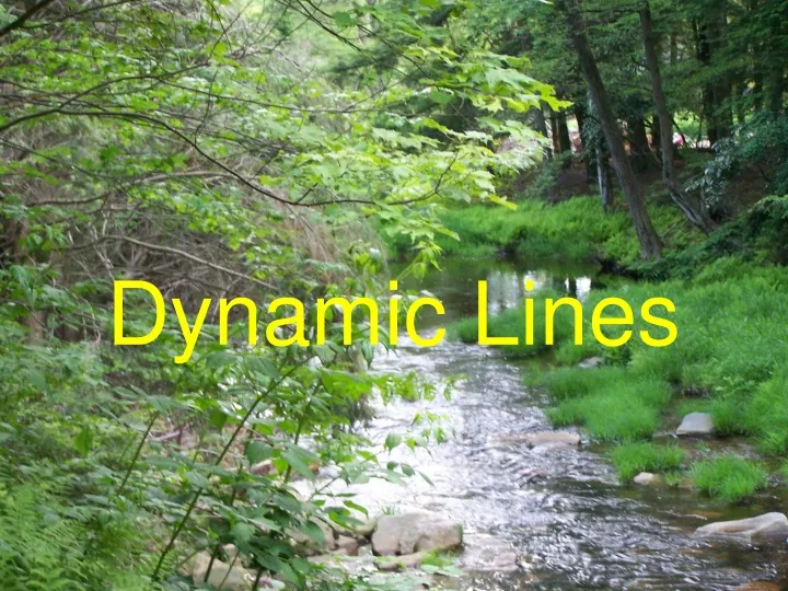 dynamic lines