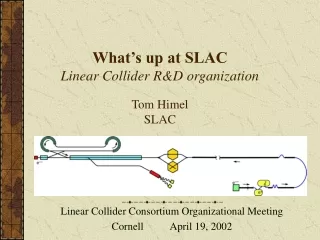 What’s up at SLAC  Linear Collider R&amp;D organization Tom Himel SLAC