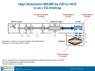 High Resolution MS/MS by CID or HCD in an LTQ Orbitrap