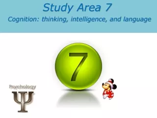 Study Area 7