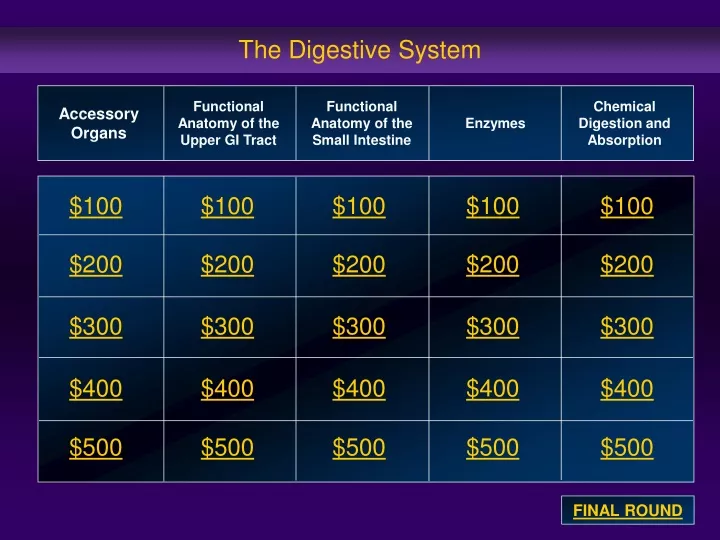 the digestive system