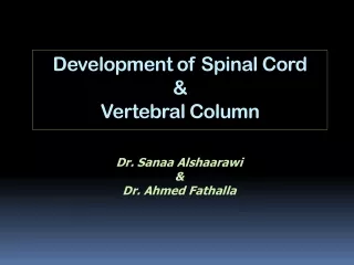 Development of Spinal Cord &amp; Vertebral Column