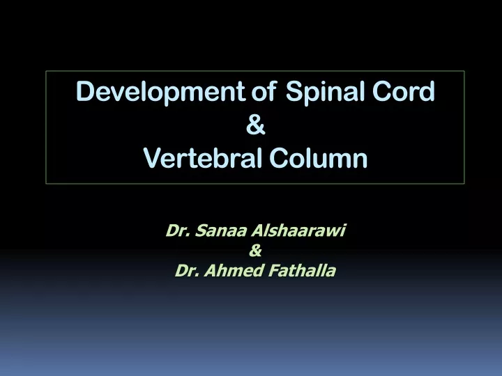 development of spinal cord vertebral column