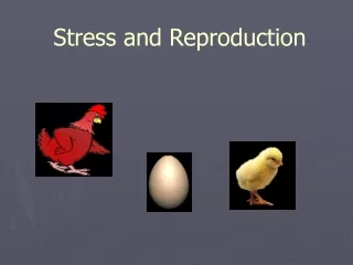 Stress and Reproduction Mindy Meyers, BS  and Joy Altermatt,  BS, DVM