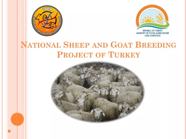 national sheep and goat breeding pr oject
