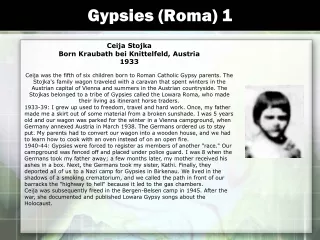 Gypsies (Roma) 1