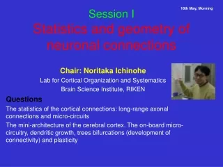 Session I Statistics and geometry of neuronal connections