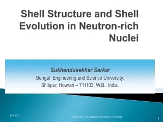 Shell Structure and Shell Evolution in Neutron-rich Nuclei