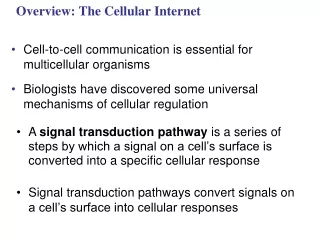 Overview: The Cellular Internet