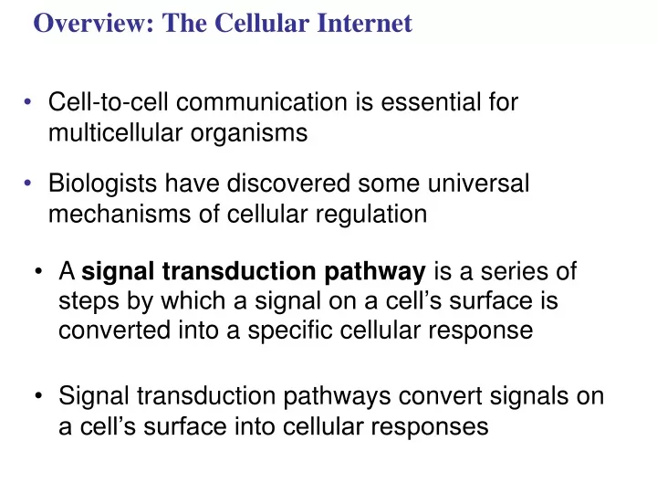overview the cellular internet