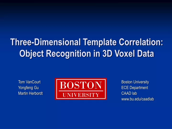 three dimensional template correlation object recognition in 3d voxel data