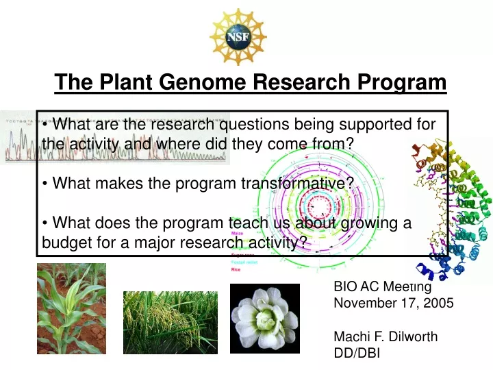 the plant genome research program