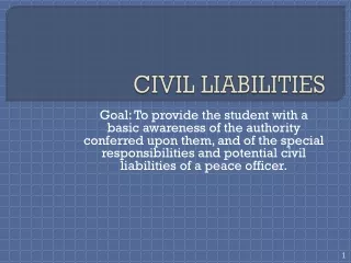 CIVIL LIABILITIES