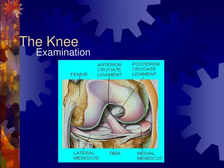 the knee