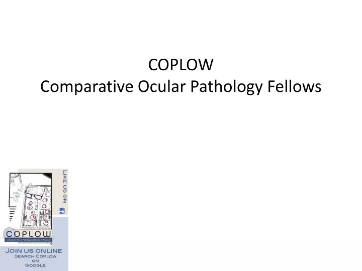 coplow comparative ocular pathology fellows