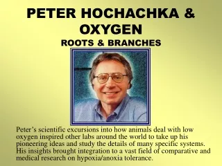 PETER HOCHACHKA &amp; OXYGEN ROOTS &amp; BRANCHES