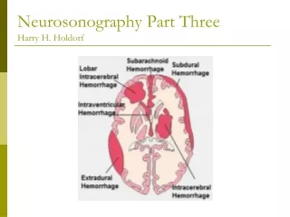 Neurosonography Part Three Harry H. Holdorf