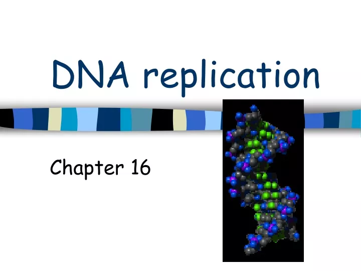 dna replication