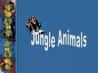 Jungle Animals