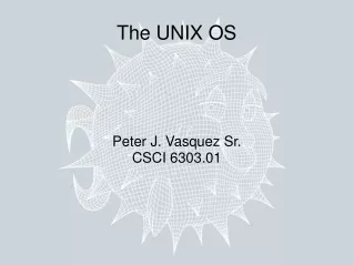 The UNIX OS
