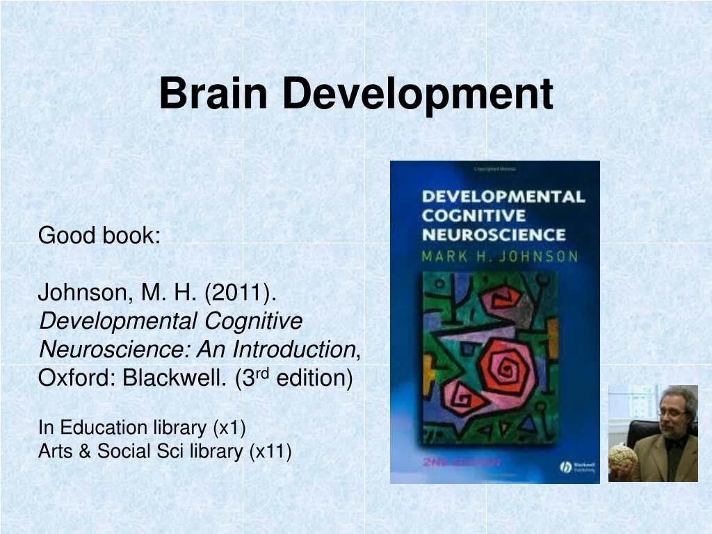 PPT - Brain Development PowerPoint Presentation, free download - ID:9389346