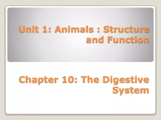 Chapter 10: The Digestive System