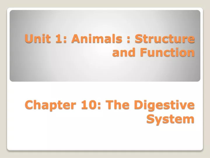 chapter 10 the digestive system
