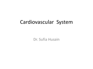 Cardiovascular  System