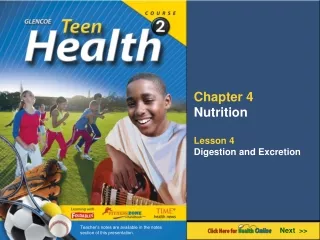 Chapter 4 Nutrition