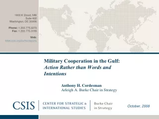 Military Cooperation in the Gulf:  Action Rather than Words and Intentions