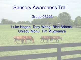 Sensory Awareness Trail