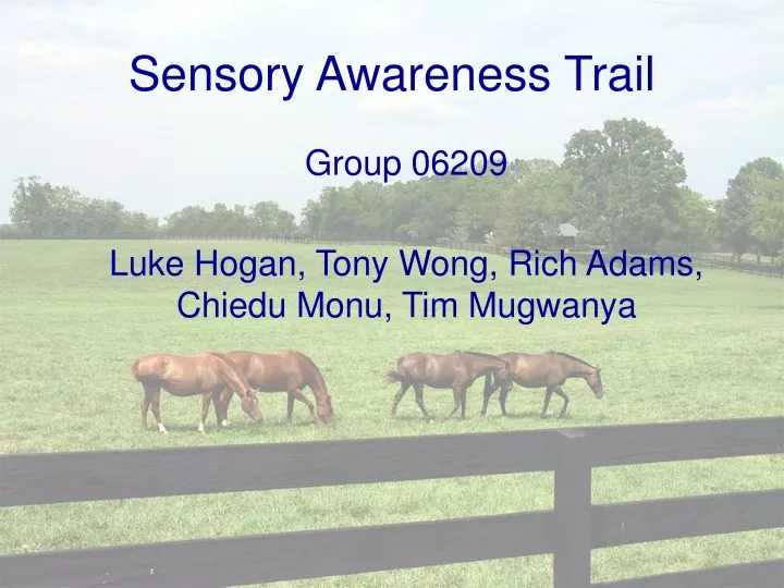sensory awareness trail