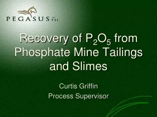 Recovery of P 2 O 5  from Phosphate Mine Tailings and Slimes