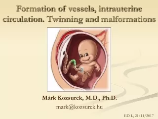 Formation  of  vessels ,  intrauterine circulation .  Twinning  and  malformations