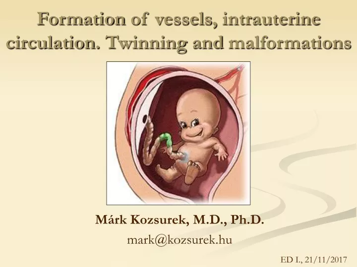 formation of vessels intrauterine circulation twinning and malformations