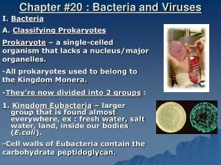 Chapter #20 : Bacteria and Viruses