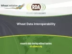 Semantic Interoperability for Wheat Data Standardization - slide 1