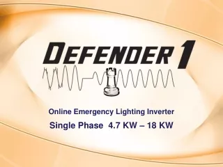 Online Emergency Lighting Inverter