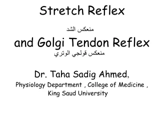 Stretch Reflex منعكس الشد  and Golgi Tendon Reflex