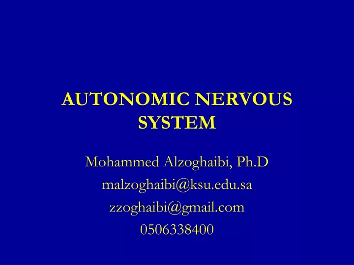 autonomic nervous system