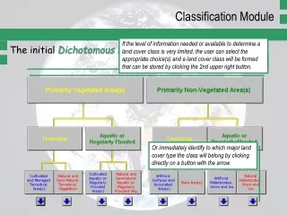 The initial  Dichotomous Phase  of LCCS