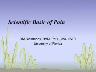 Scientific Basic of Pain