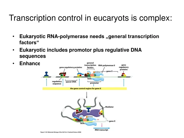 transcription control in eucaryots is complex