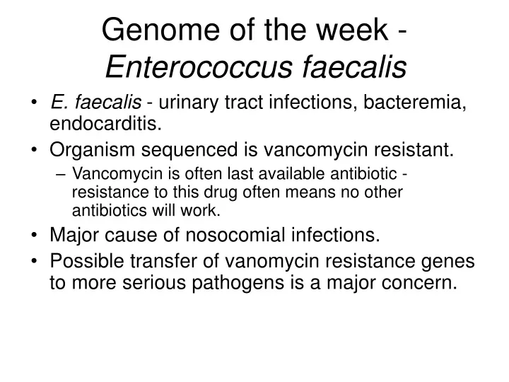 genome of the week enterococcus faecalis